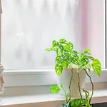 公寓 Castle Cozy 布拉迪斯拉发